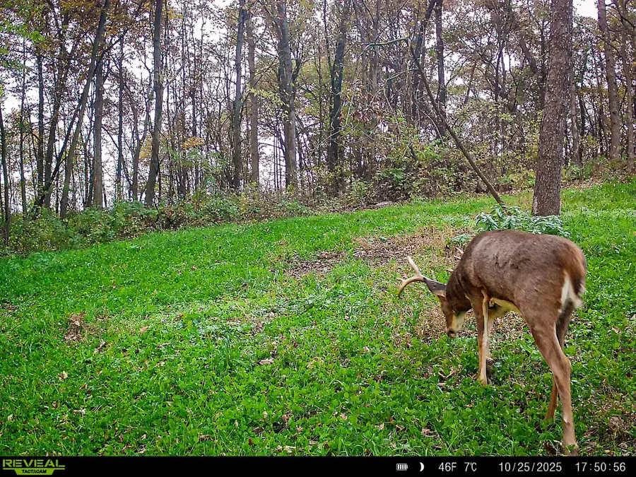 W27022 Whistle Pass Road, Dodge Town, WI 54661 - Image #3