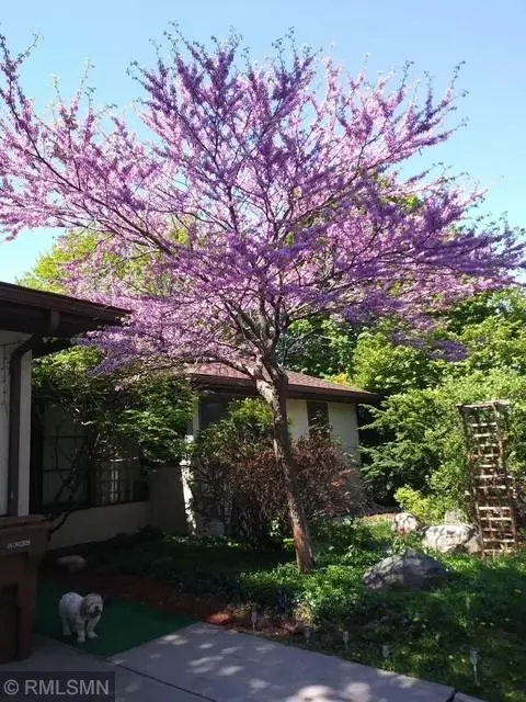 1280 Dodd Road, Saint Paul, MN 55118 - Image #2