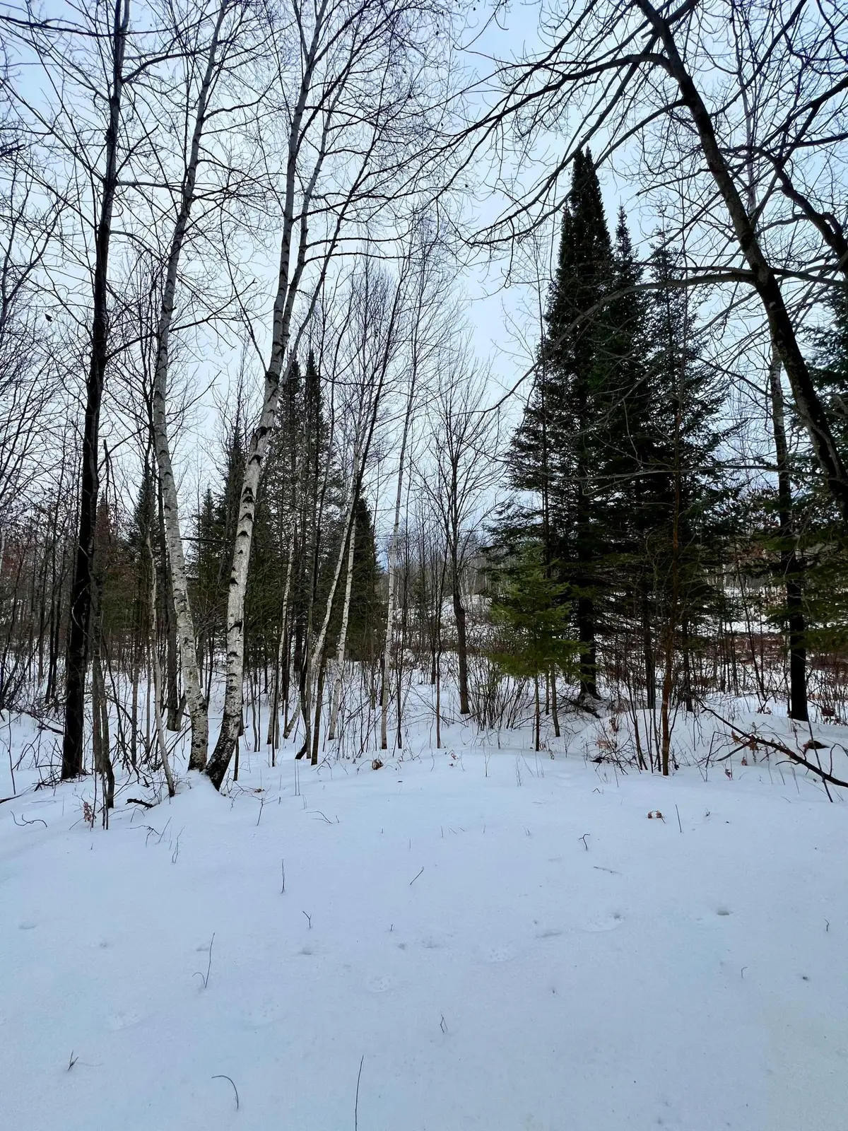 101 Baich Drive, Coleraine, MN 55722 - Image #1