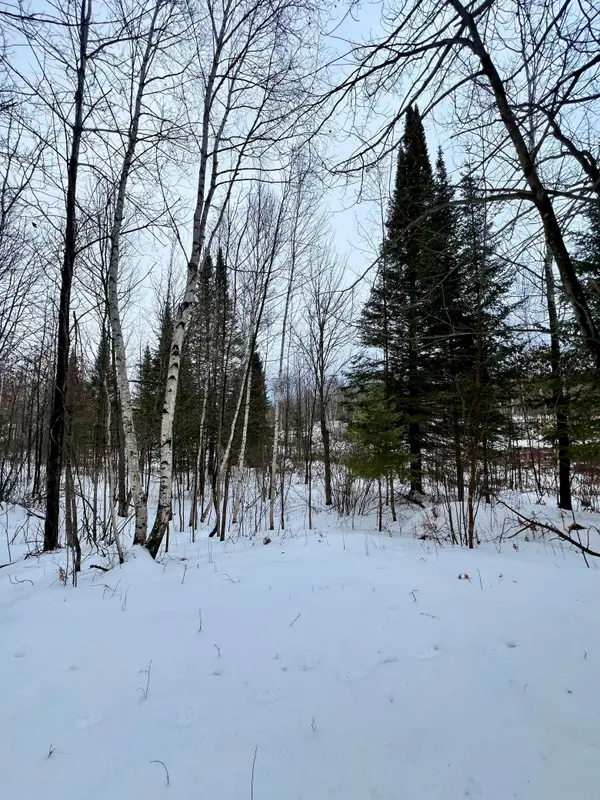 101 Baich Drive, Coleraine, MN 55722