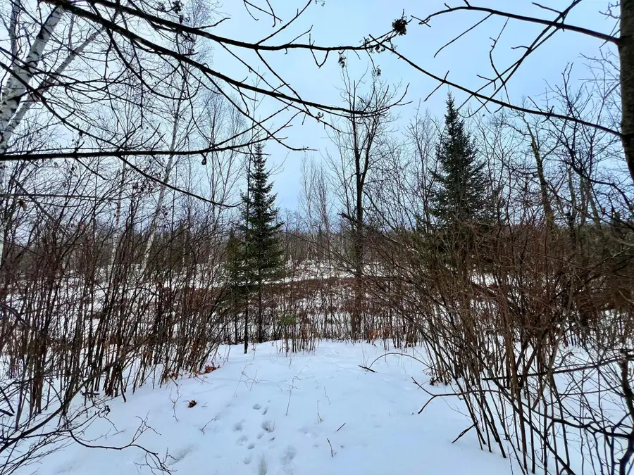 101 Baich Drive, Coleraine, MN 55722 - Image #3