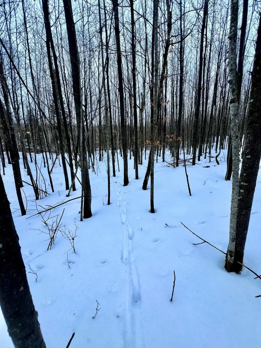 TBD Baich Dr, Coleraine, MN 55722 - Image #2