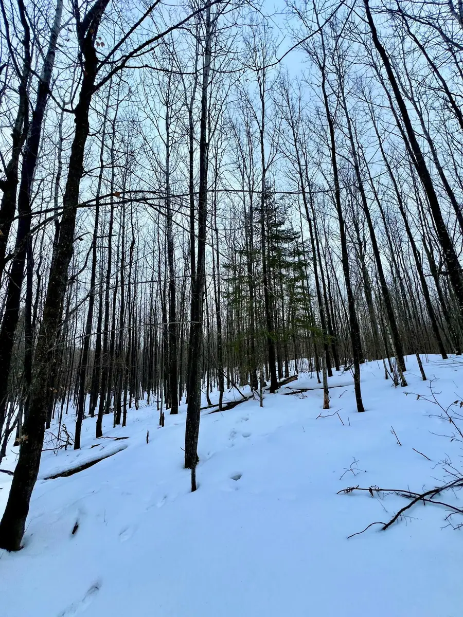 TBD Baich Dr, Coleraine, MN 55722 - Image #3