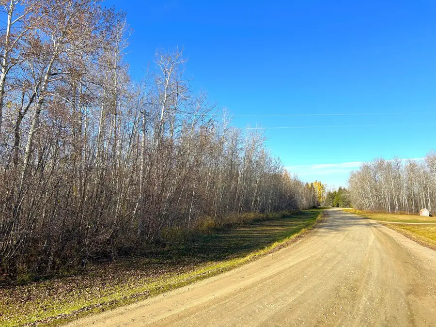 36615 County Road 13, Lake, MN 56756 - #3