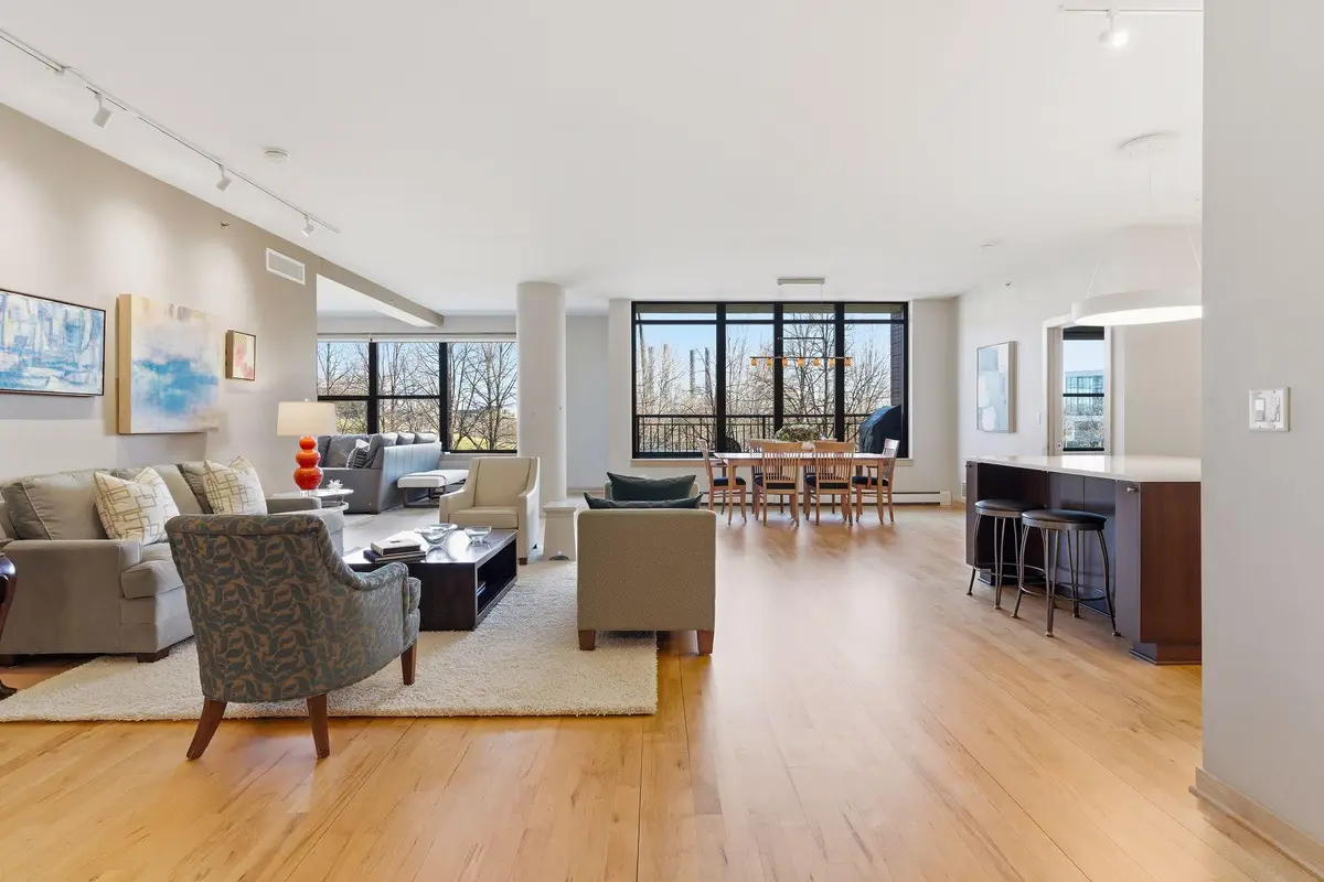 215 10th Avenue S #212, Minneapolis, MN 55415 - #1