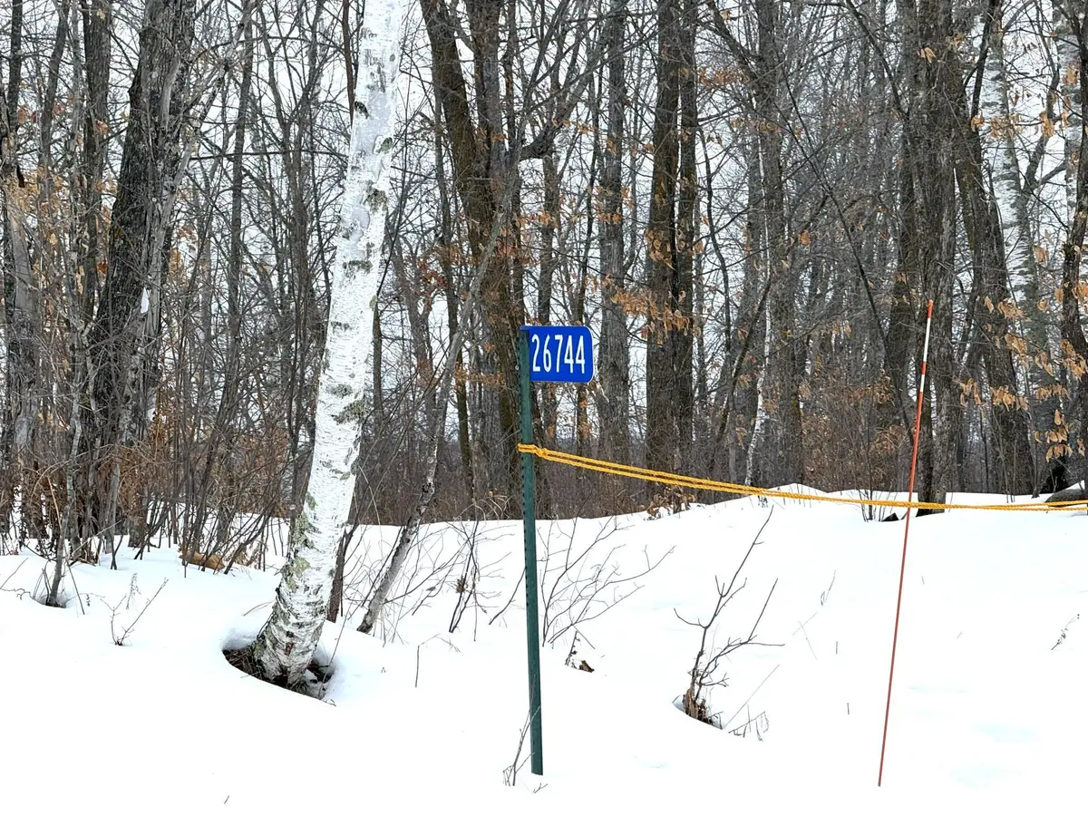 26744 Ross Lake Road, Aitkin, MN 56431 - #1