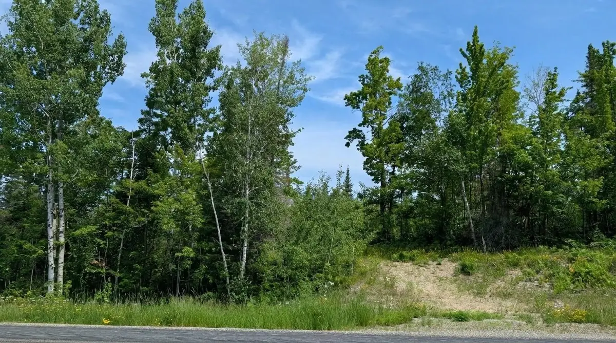TBD Hwy. 22, Angora, MN 55703 - #1