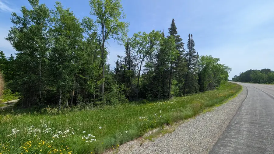 TBD Hwy. 22, Angora, MN 55703 - #3