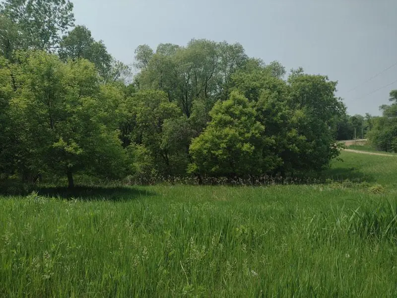 Lot 7 Block 2 Crystal Beach Road, Pelican Rapids, MN 56572 - Image #1