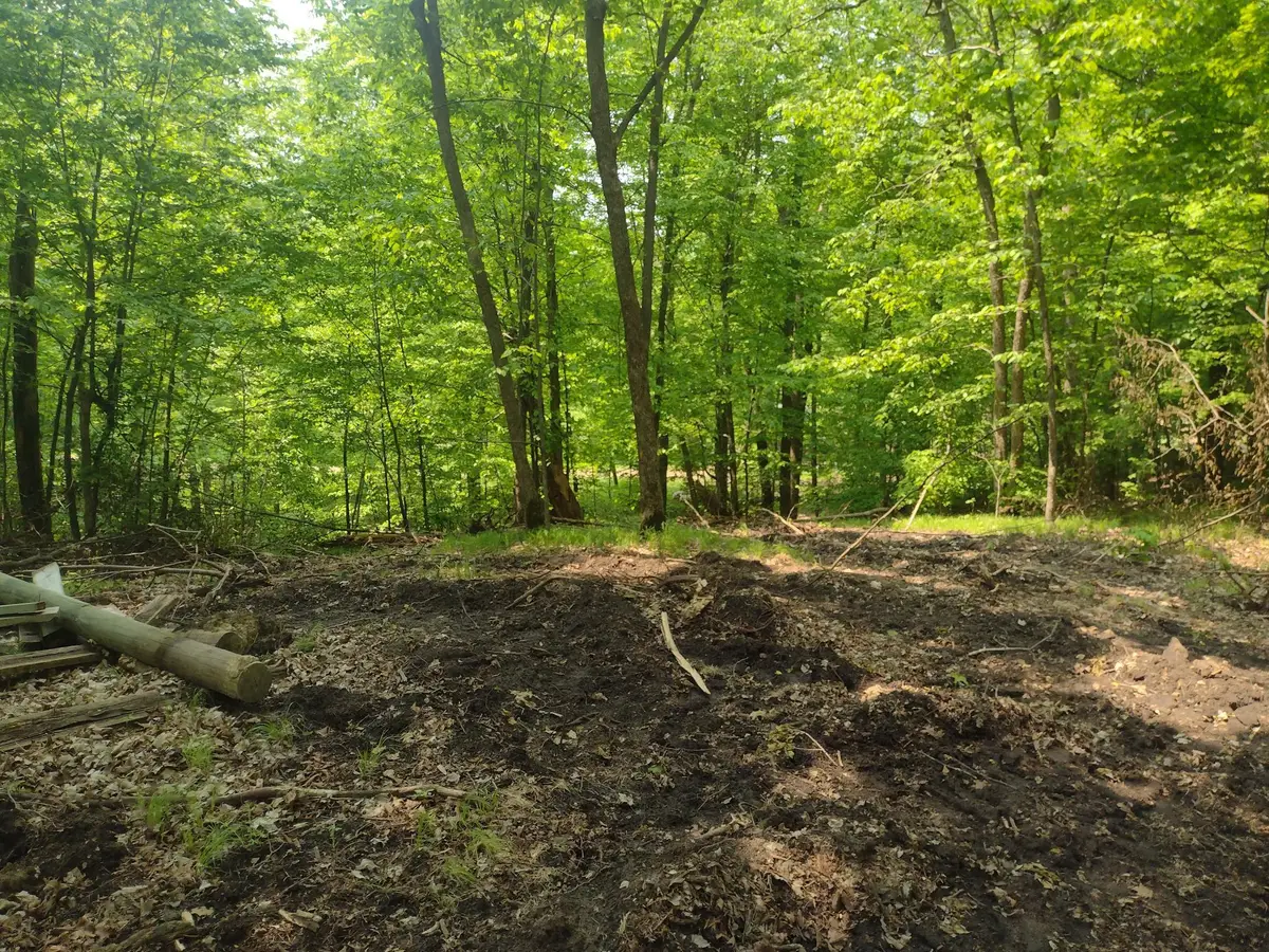 Lot 8 Block 2 Crystal Beach Road, Pelican Rapids, MN 56572 - #1