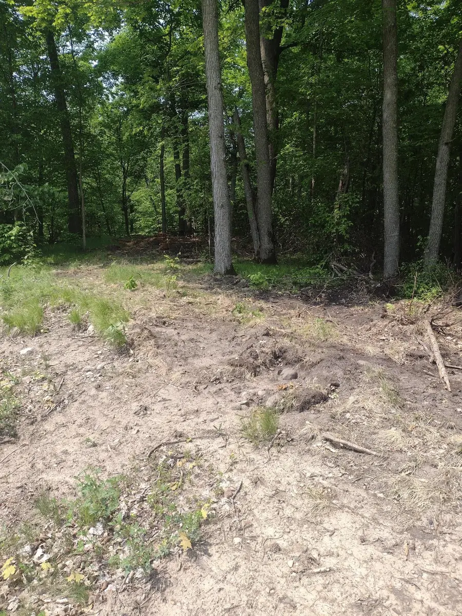 Lot 8 Block 2 Crystal Beach Road, Pelican Rapids, MN 56572 - #3