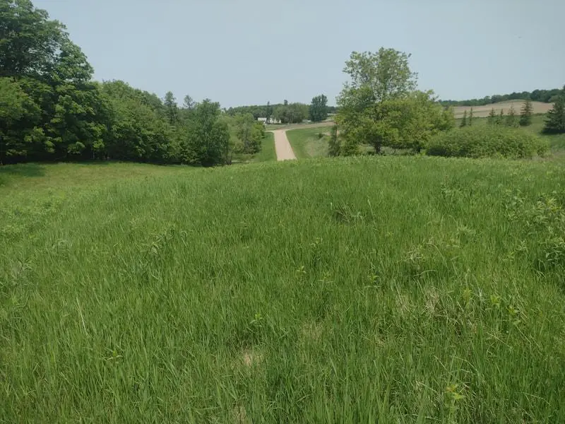 Lot 1 Block 3 Crystal Beach Road, Pelican Rapids, MN 56572 - Image #1