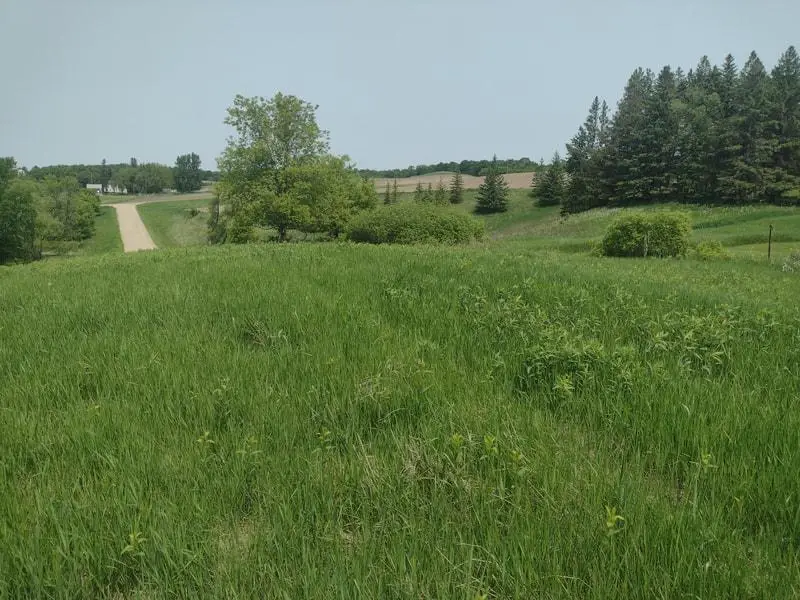 Lot 1 Block 3 Crystal Beach Road, Pelican Rapids, MN 56572 - Image #2