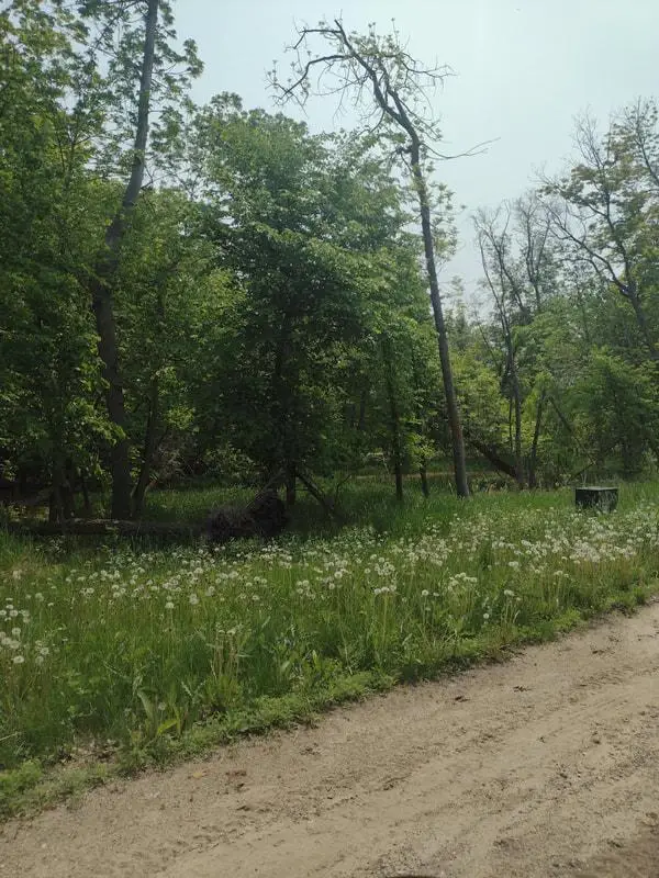 Lot 2 Block 3 Crystal Beach Road, Pelican Rapids, MN 56572