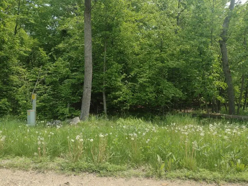 Lot 2 Block 3 Crystal Beach Road, Pelican Rapids, MN 56572 - Image #2