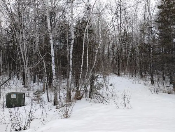 tbd 294th Avenue, Brook Park, MN 55007