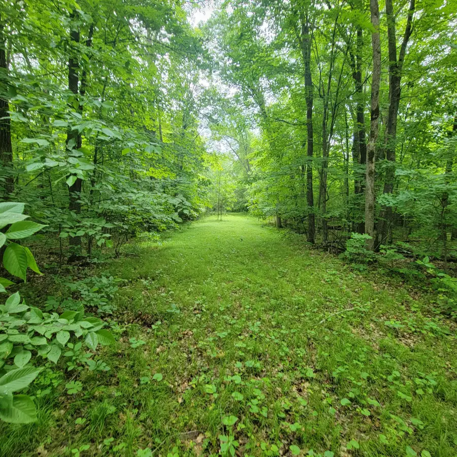 TBD 355th Street, Richville, MN 56576 - #3