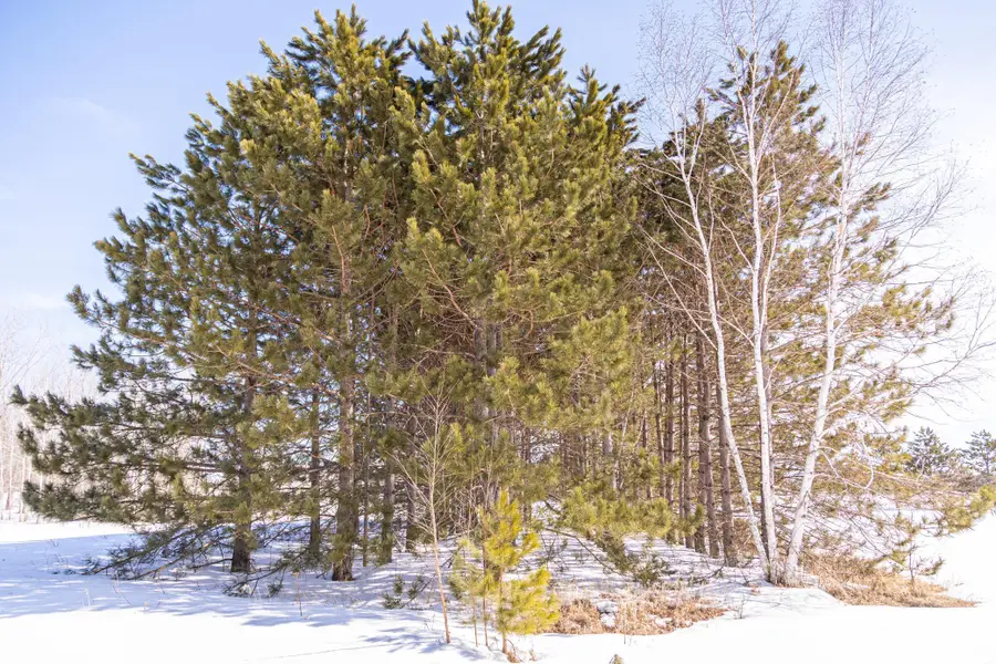 000 Mid-river Road, Pine City, MN 55063 - #3