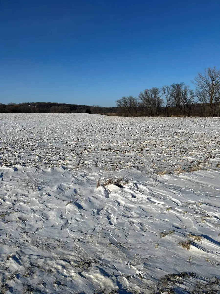 XXXX 285th (10 Acres) Street, Northfield, MN 55057 - Image #2