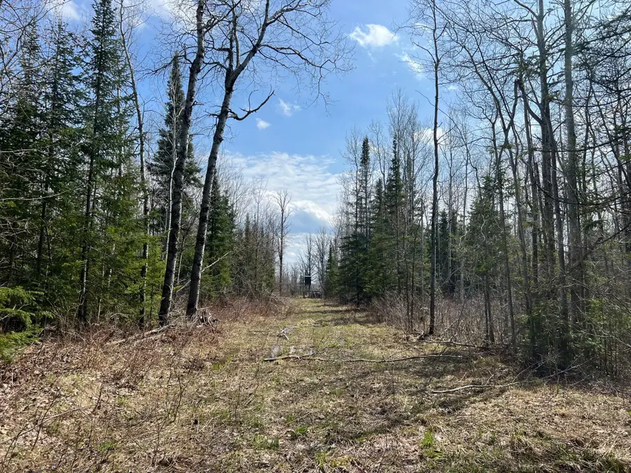 11TBD Gulley Road, Maple, WI 54854 - Image #2