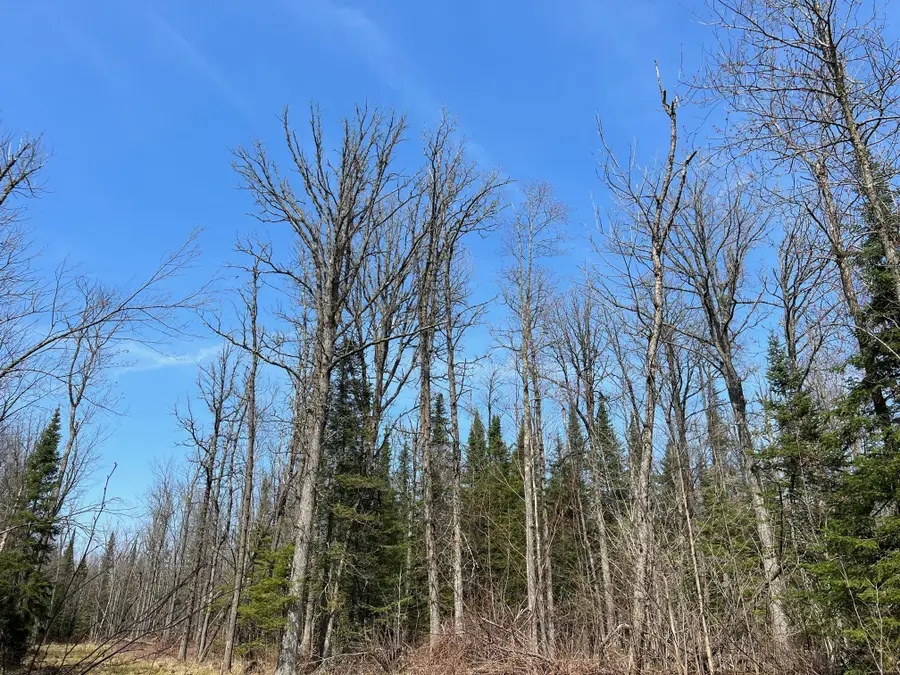 11TBD Gulley Road, Maple, WI 54854 - Image #3