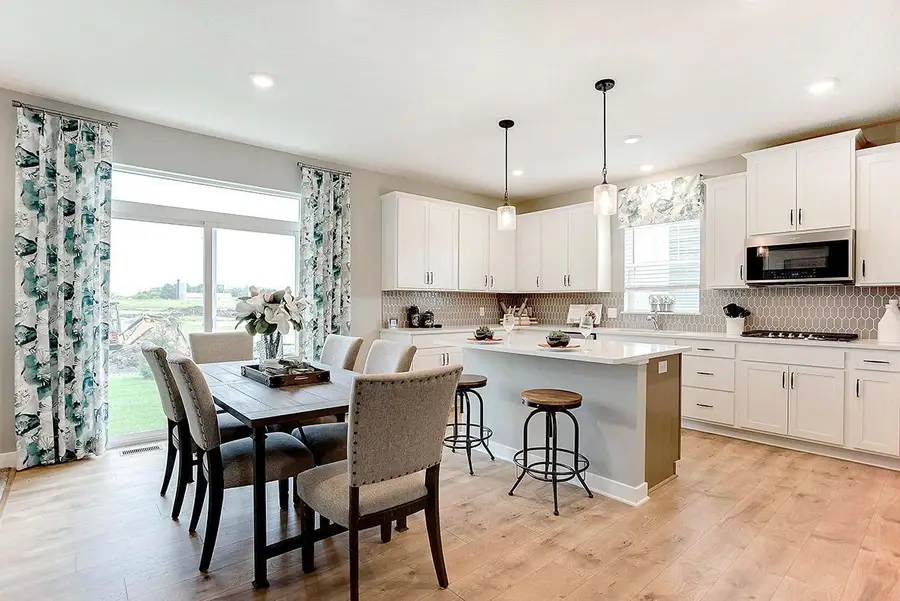 528 Goldenrod Trail, Waconia, MN 55387 - #3