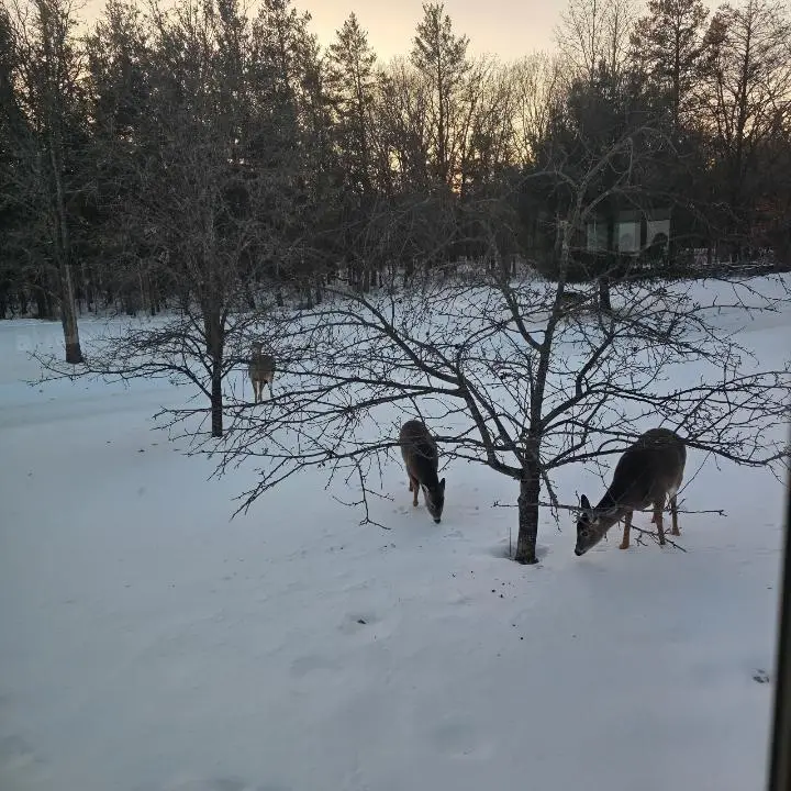 23548 W River Road, Grantsburg, WI 54840 - Image #3