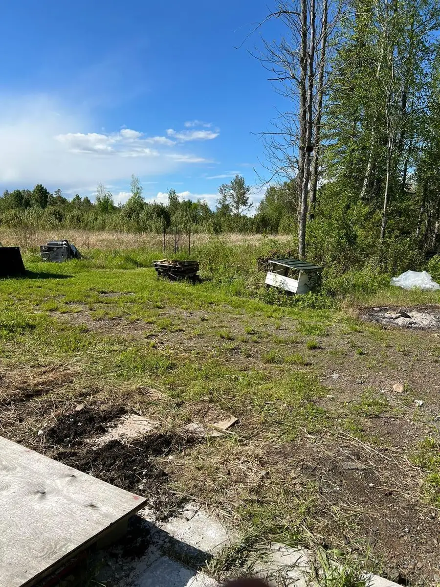 7773 Condor Road, Meadowlands, MN 55765 - #2