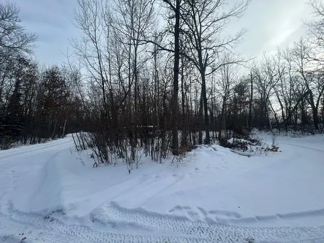 49128 Sandy Oak Drive, Deer River, MN 56636 - Image #3