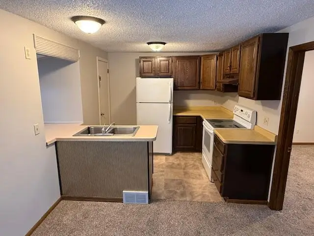 5340 Main Street E, Maple Plain, MN 55359 - #2