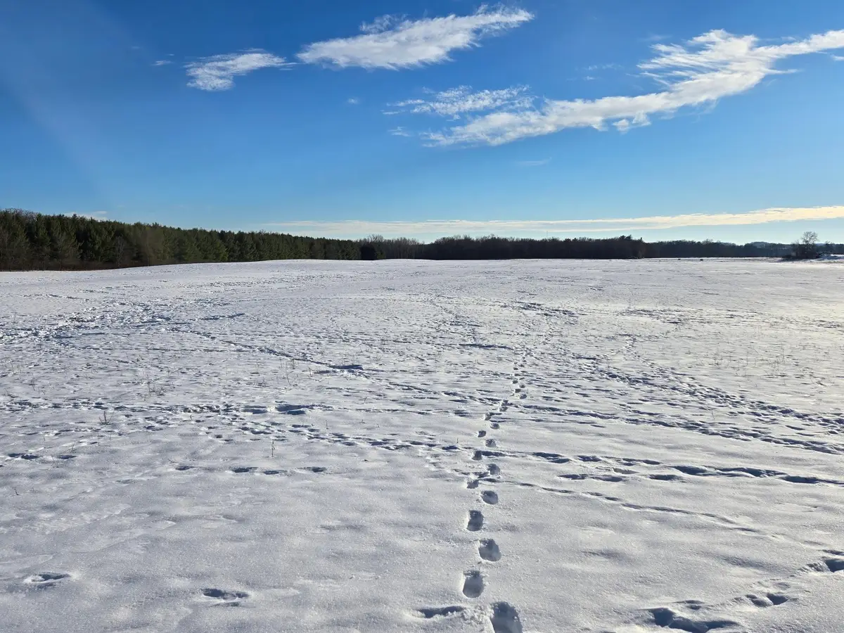 20.05 Acres County Road N, Wheeler, WI 54772 - #1