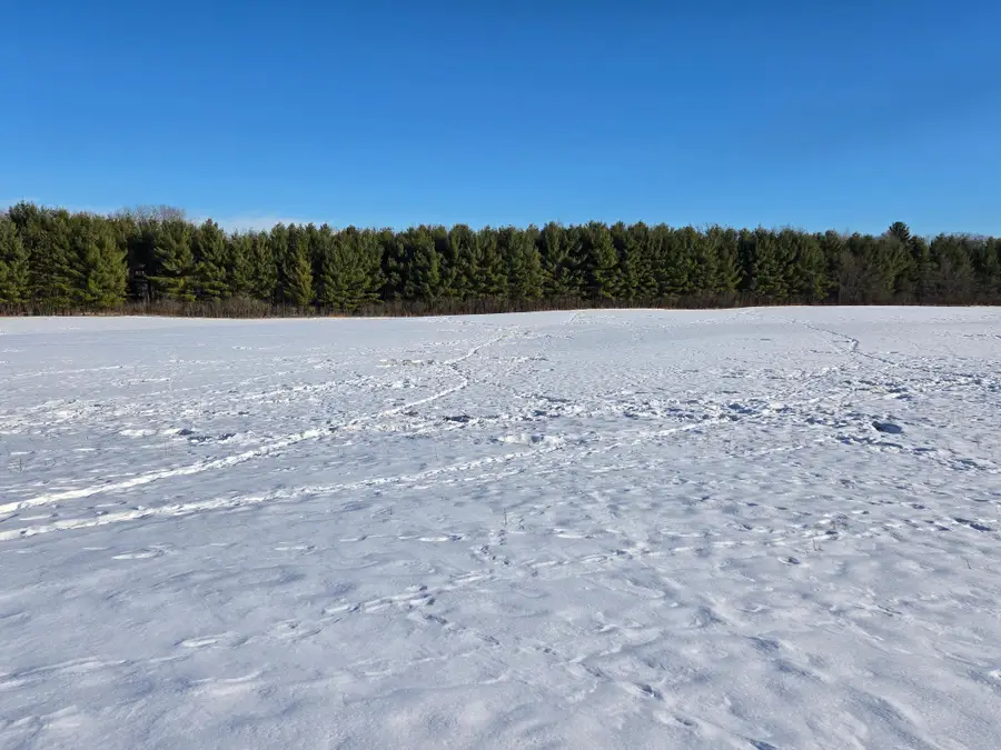 20.05 Acres County Road N, Wheeler, WI 54772 - #3