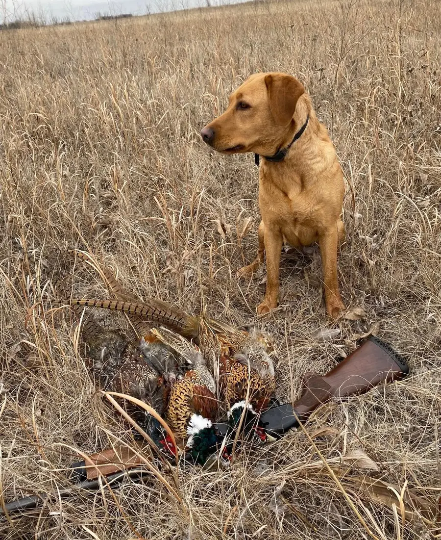 TBD County Highway 14, Madison, MN 56256 - Image #2