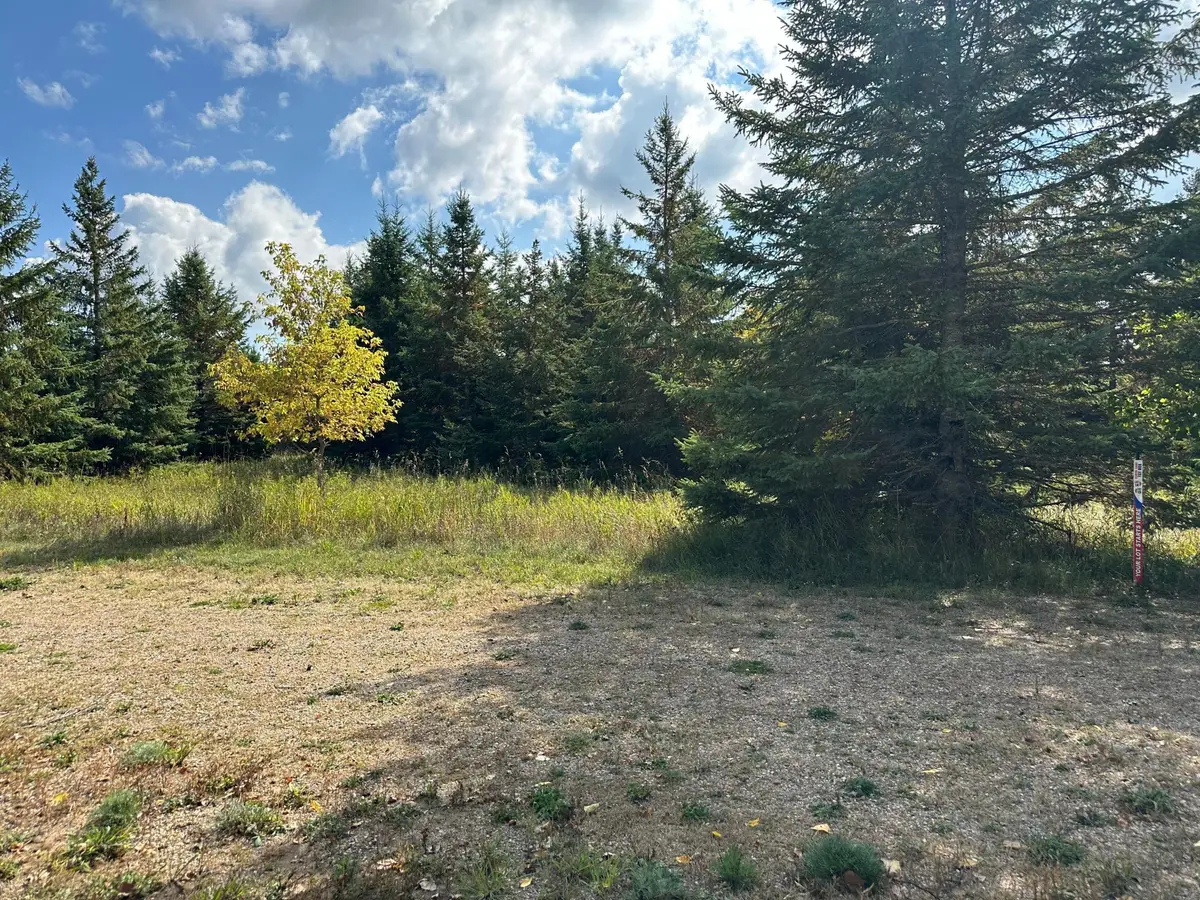26783 Lidstrom Road, Detroit Lakes, MN 56501 - #1
