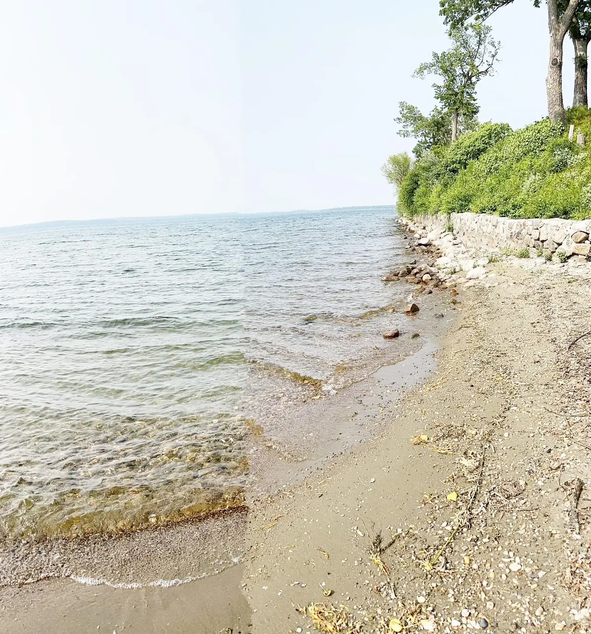 Lot 5, Castle Shores Indian Beach Road, Spicer, MN 56288 - #1