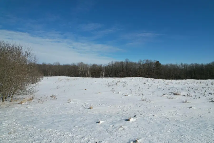 Lot 1 11th Street, Clayton, WI 54004 - #3