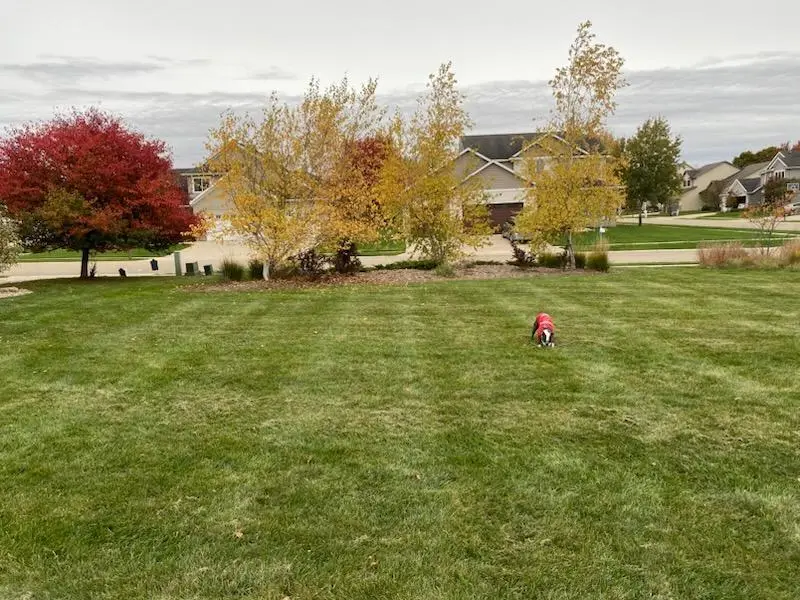 TBD Folwell Ridge Street Sw, Rochester, MN 55902 - #2