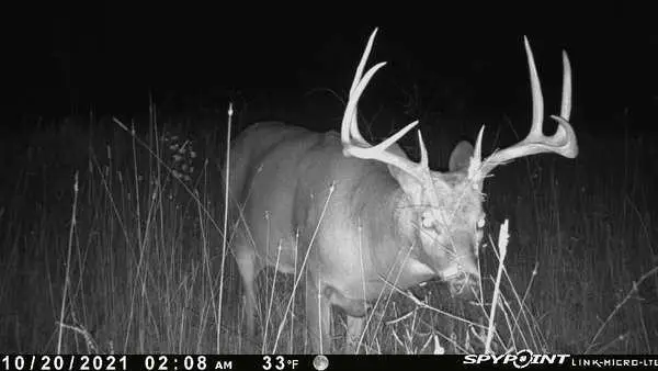 TBD 51st Street Sw, Baudette, MN 56623