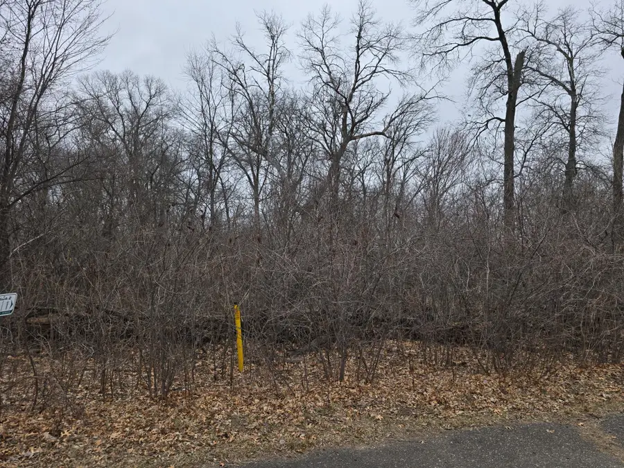 L1,B2 288th Avenue Nw, Baldwin, MN 55398 - #2