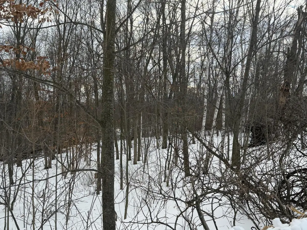 TBD 180th Avenue, Balsam Lake, WI 54810 - #1