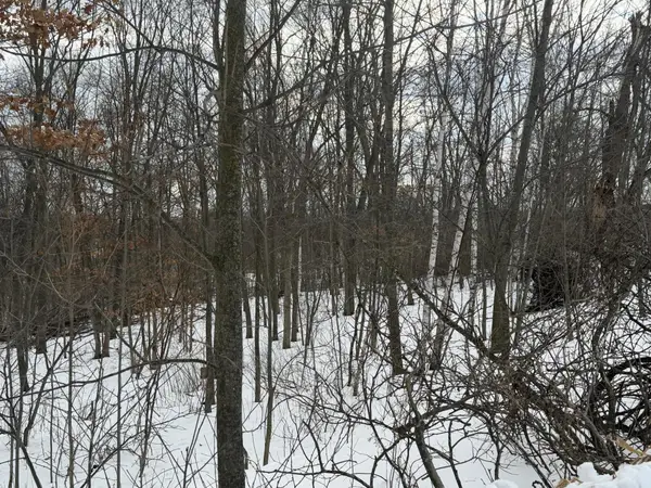 TBD 180th Avenue, Balsam Lake, WI 54810