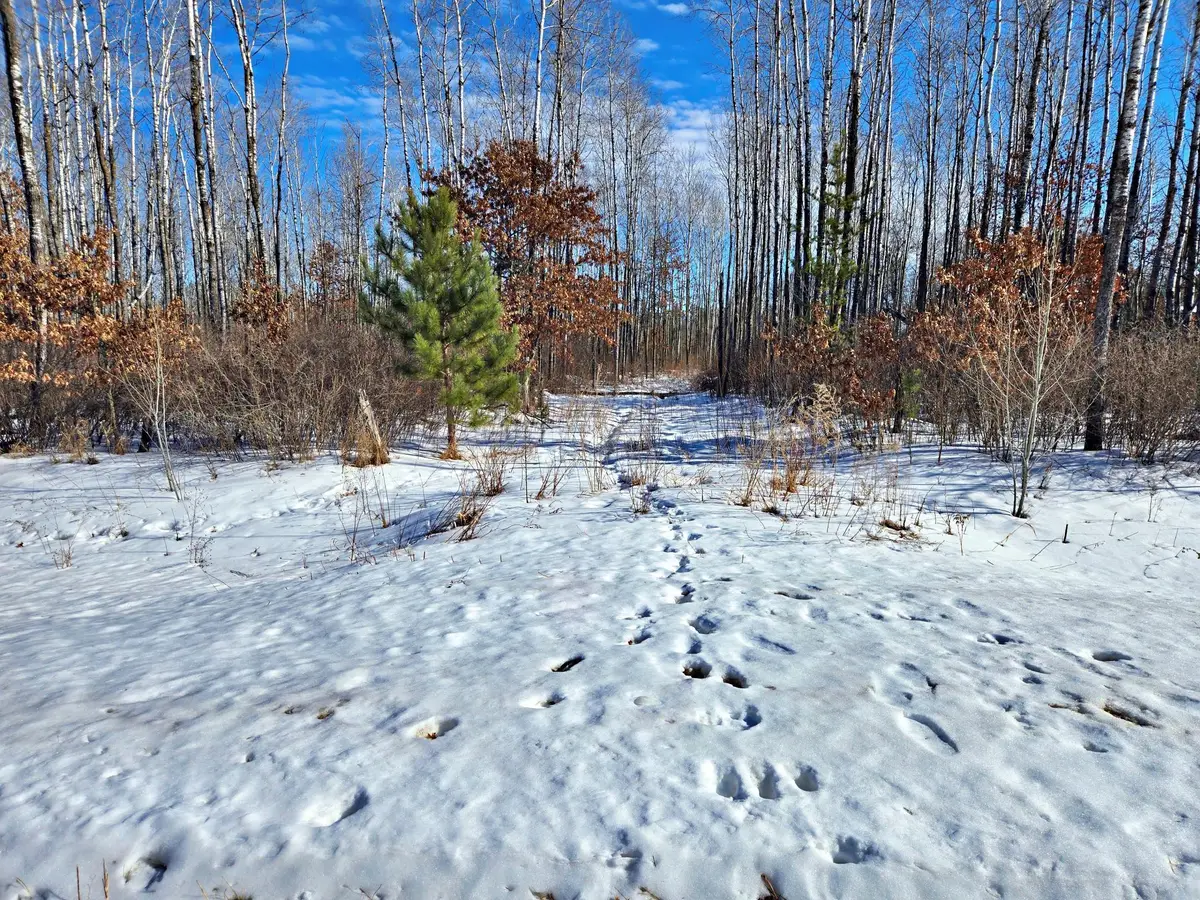 TBD Brush Lake Lane, Park Rapids, MN 56470 - #1