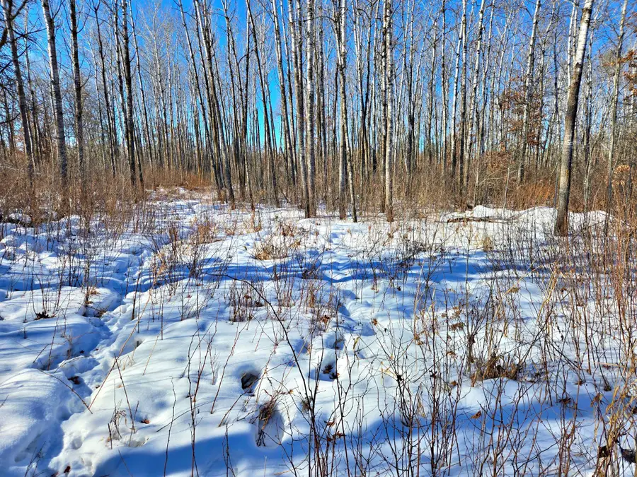 TBD Brush Lake Lane, Park Rapids, MN 56470 - #2