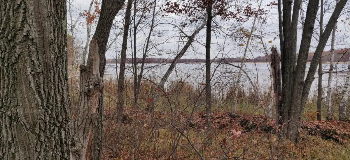 TBD* Snowshoe Trail, Staples, MN 56479 - #1