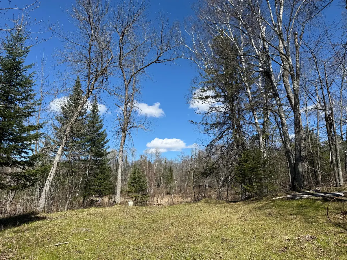 41174 Yellow Birch Lane, Emily, MN 56447 - #1