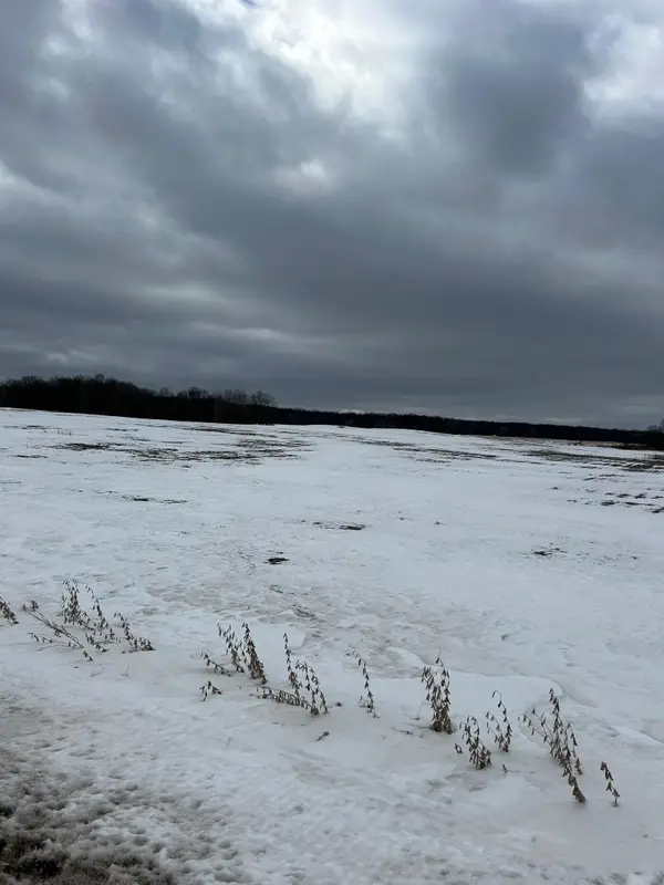 Lots 2 & 3 Cty Rd B, Woodville, WI 54028