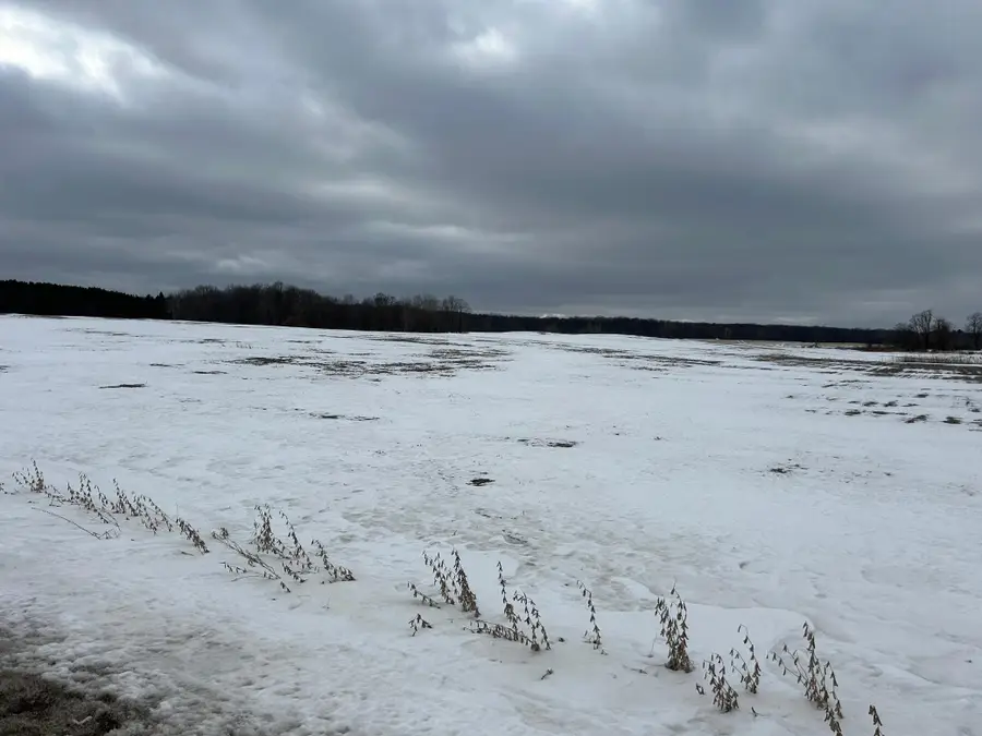 Lots 2 & 3 Cty Rd B, Woodville, WI 54028 - #2