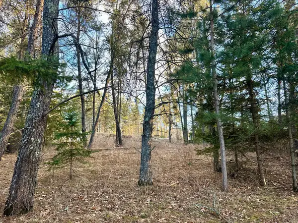 TBD E Blueberry River Dr, Menahga, MN 56464