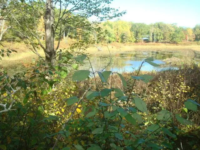 TBD Fawn Trail Ne, Longville, MN 56655 - #1