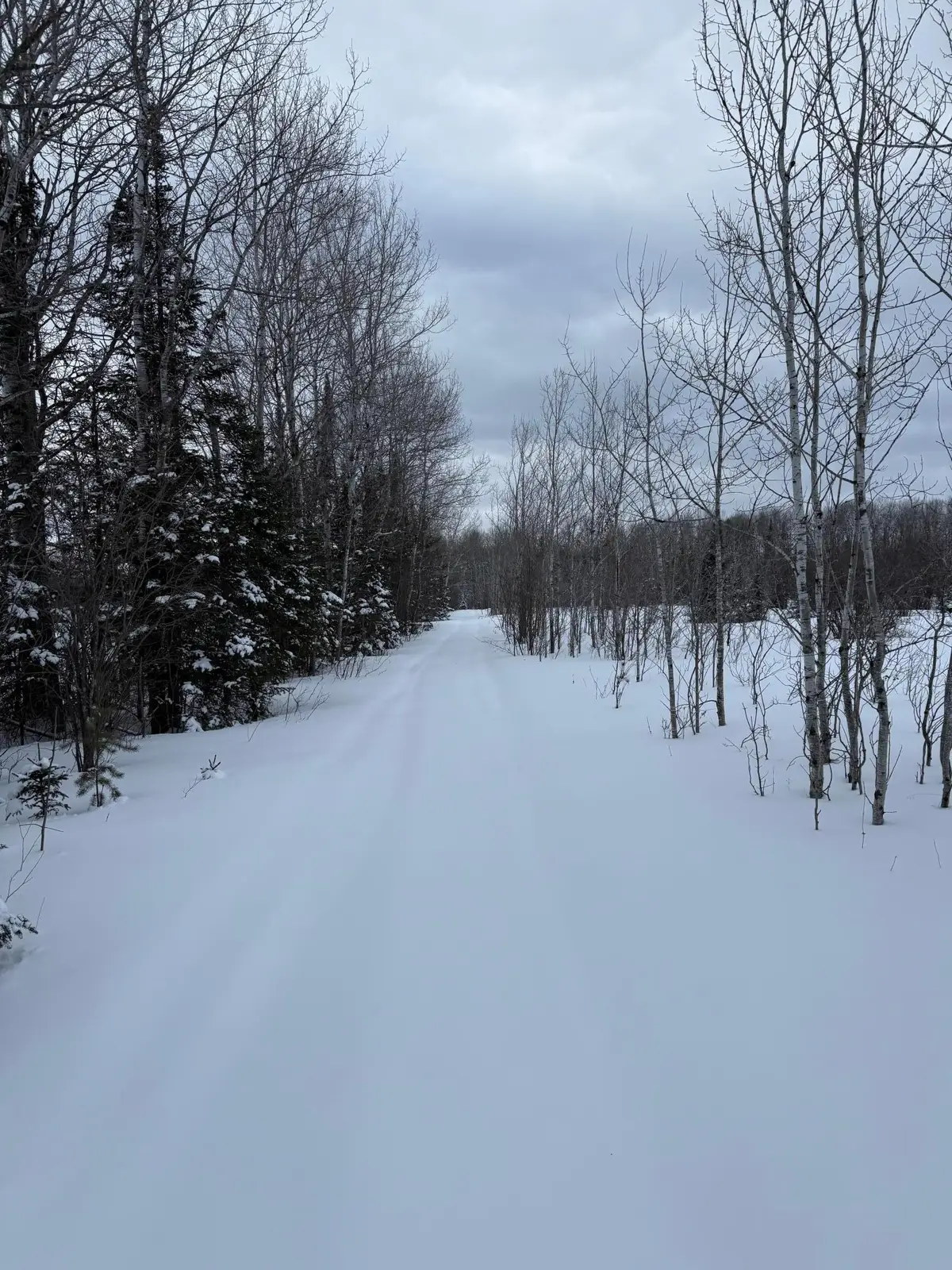 TBD Wallin Road, Iron River, WI 54847 - #1